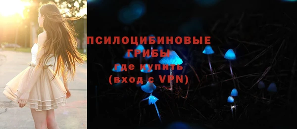 а пвп мука Инта