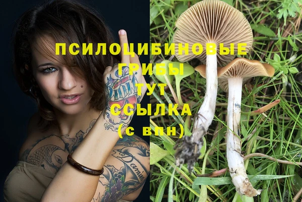 альфа пвп VHQ Инсар
