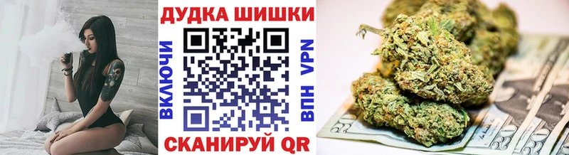 Каннабис сатива Купить закладки Сатка